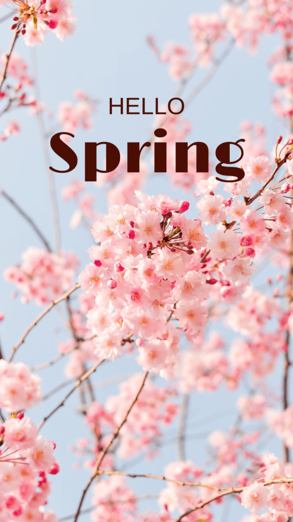 blue background, pink flowers, hello spring wording