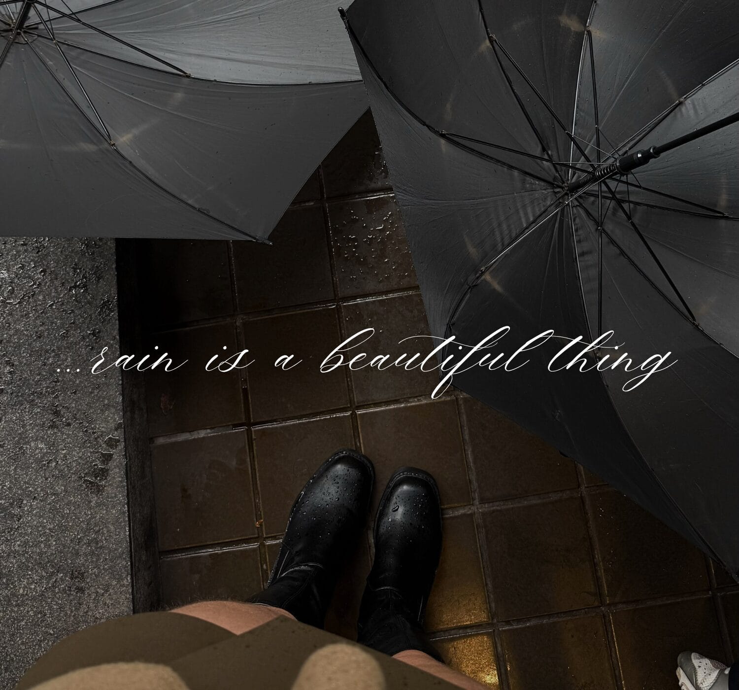 30 Inspiring Rainy Day Quotes to Warm Your Soul