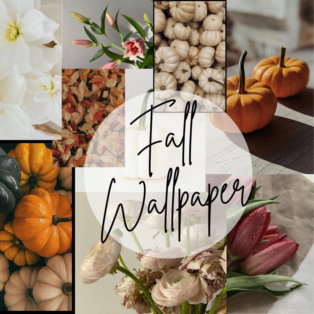 21 Natural Fall Wallpapers for a Cozy Aesthetic