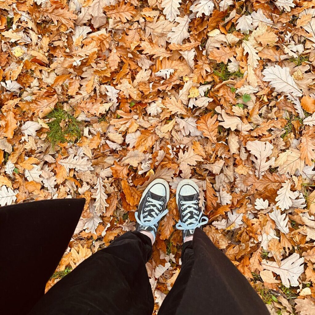 A Person Standing on Fallen Leaves -7 Step Fall Seasonal Reset to Refresh Your Mind and Home