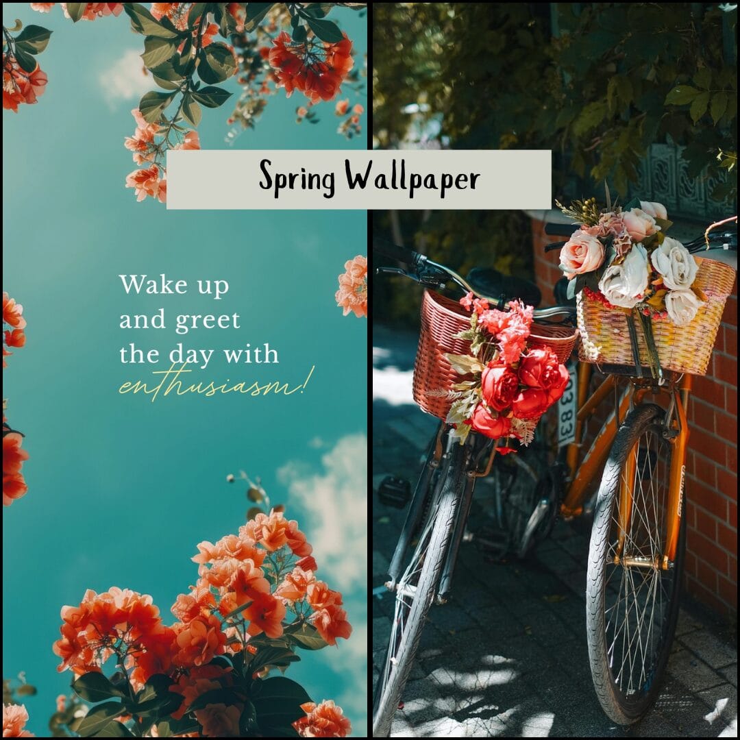 37 Bright Spring Wallpaper for Your Phone