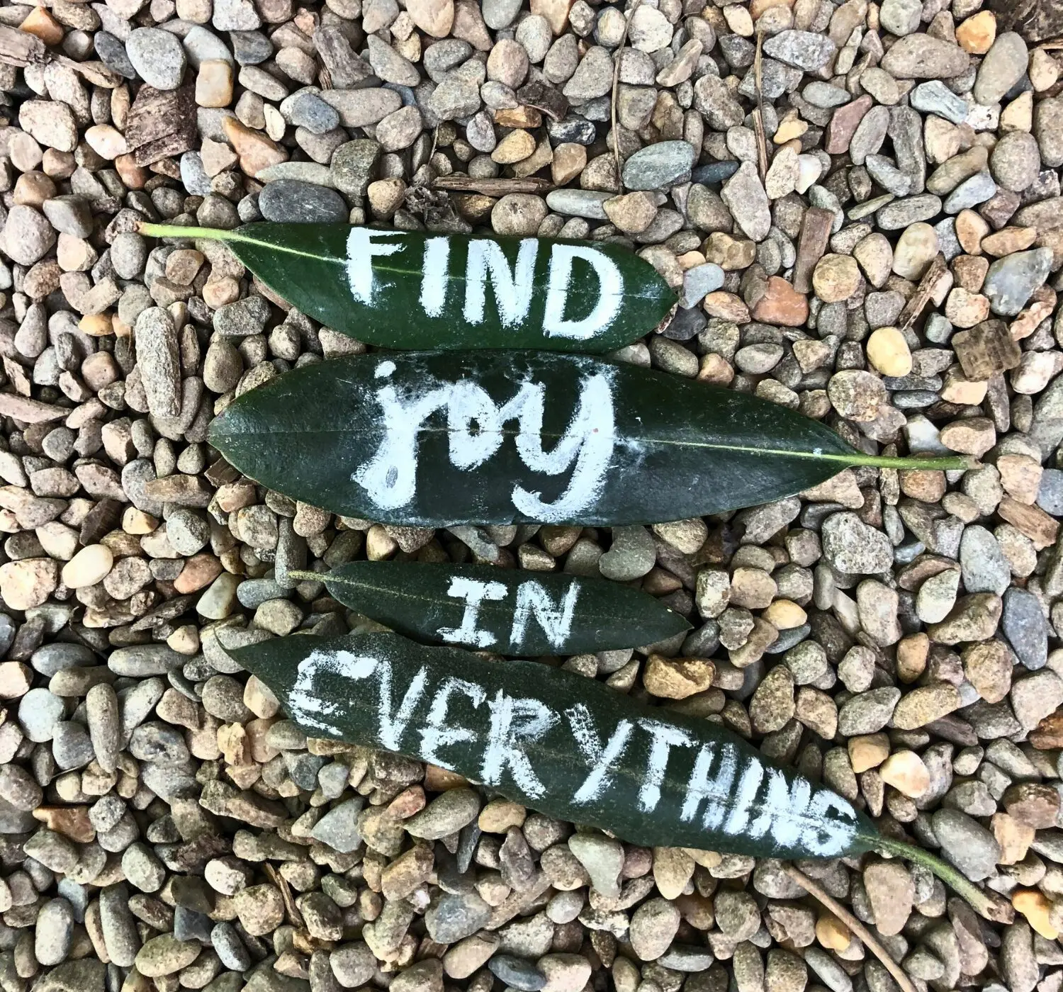 5 Proven Ways to be Optimistic for a Happier Life