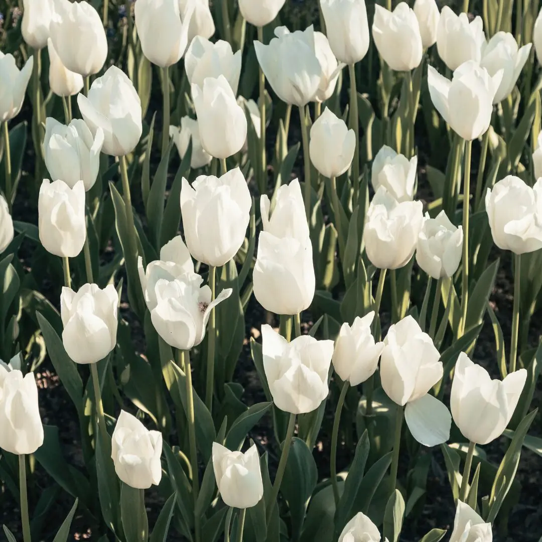 5 Kindness Journaling Prompts to Help You Be Nicer to Yourself