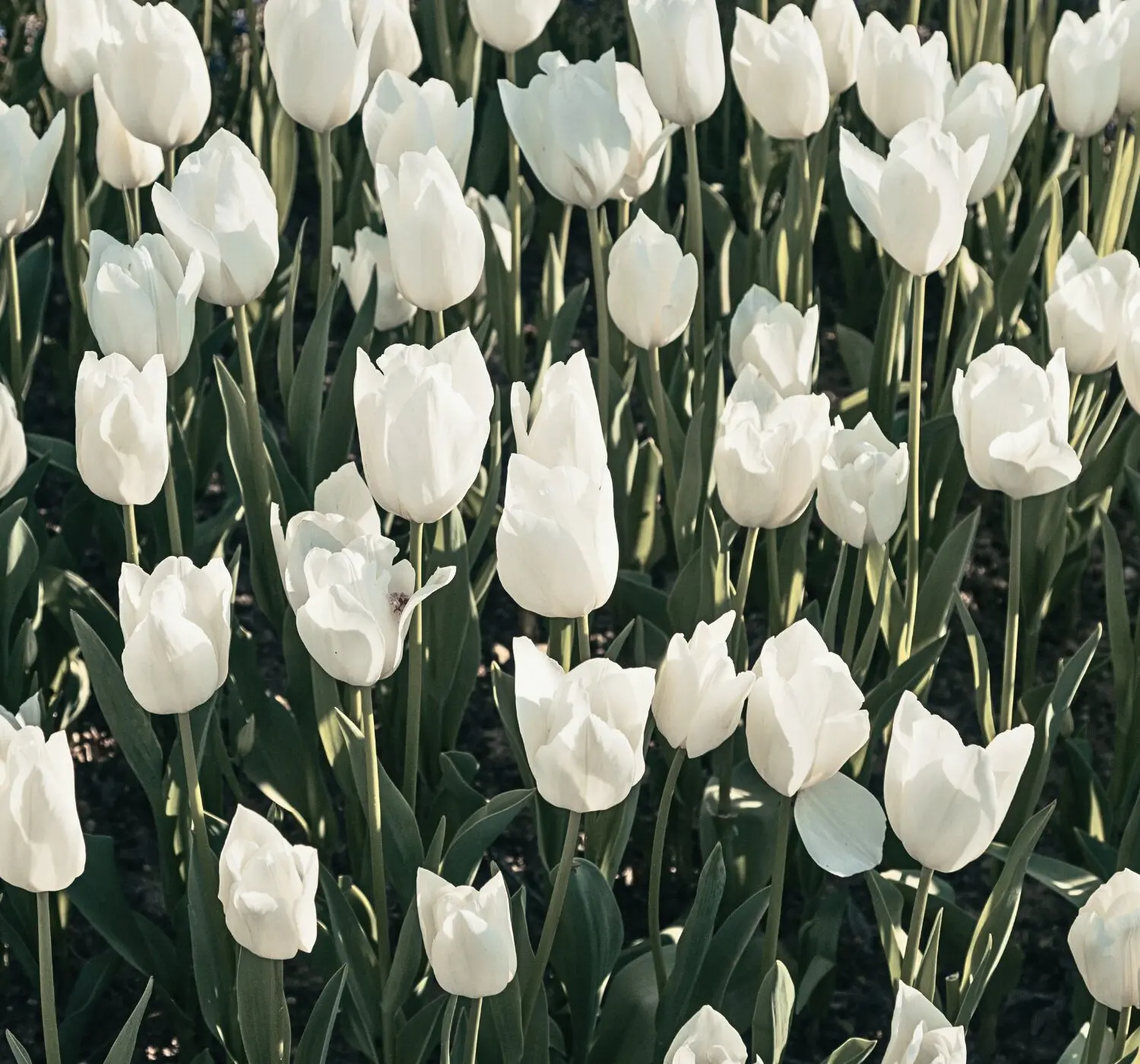 5 Kindness Journaling Prompts to Help You Be Nicer to Yourself