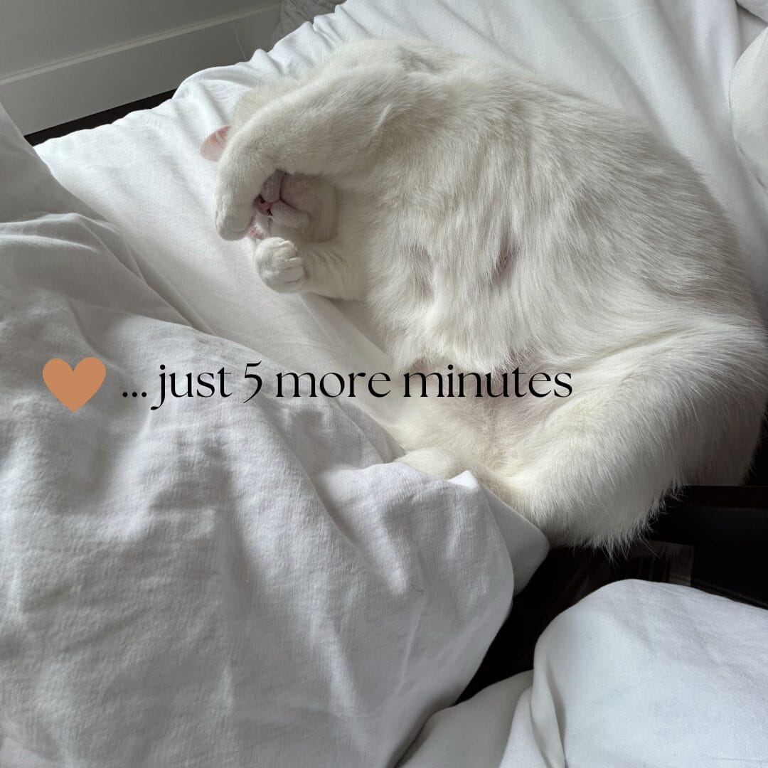 Why I Quit the 5AM Morning Routine for a Realistic and Gentle Start to My Day