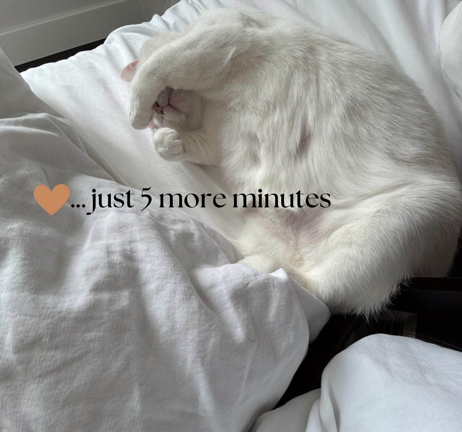 Why I Quit the 5AM Morning Routine for a Realistic and Gentle Start to My Day