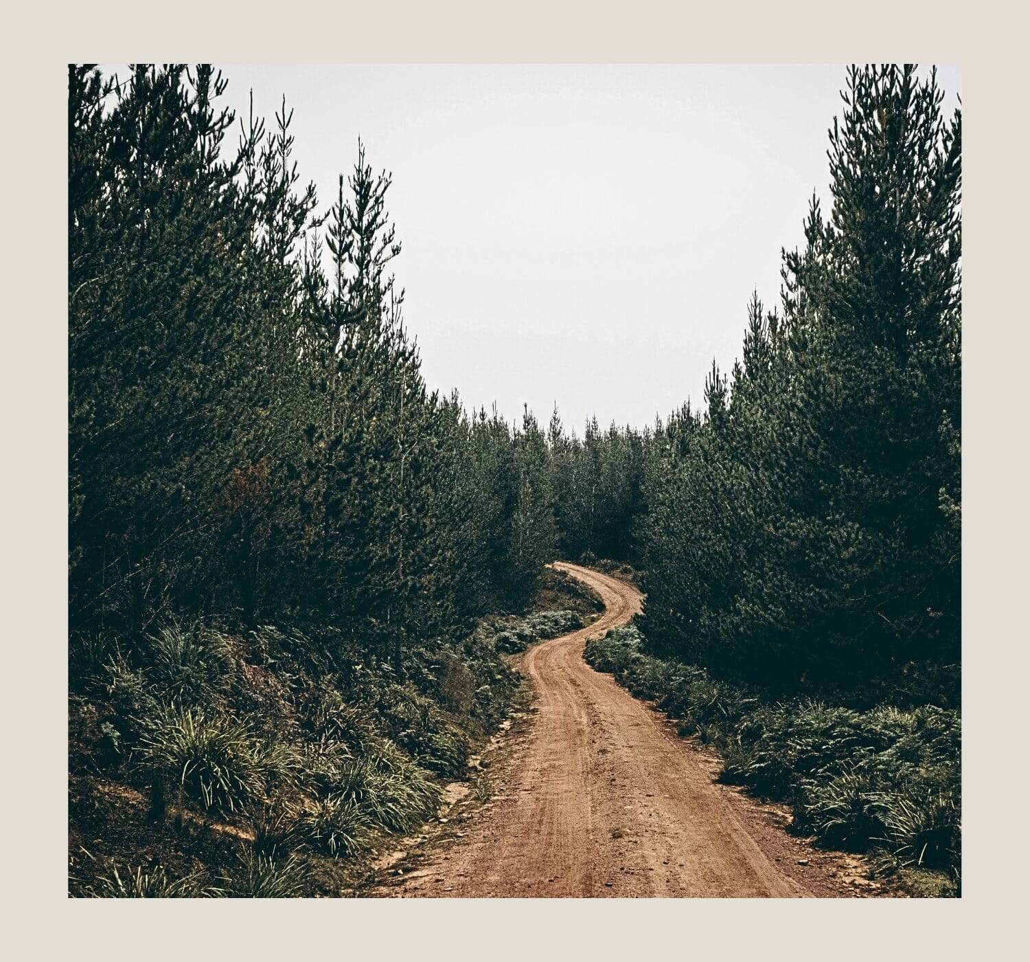 Why Slow Living Makes You Anxious — And How to Make It Peaceful Again