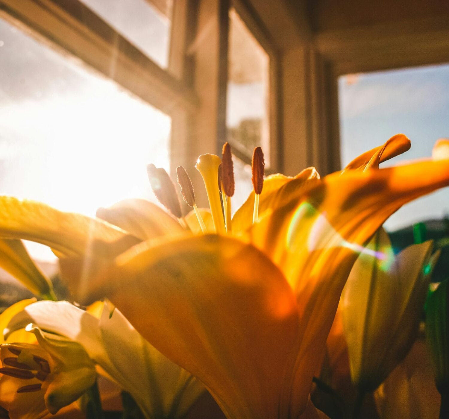 60 Motivational Quotes That Will Inspire Life-Changing Growth