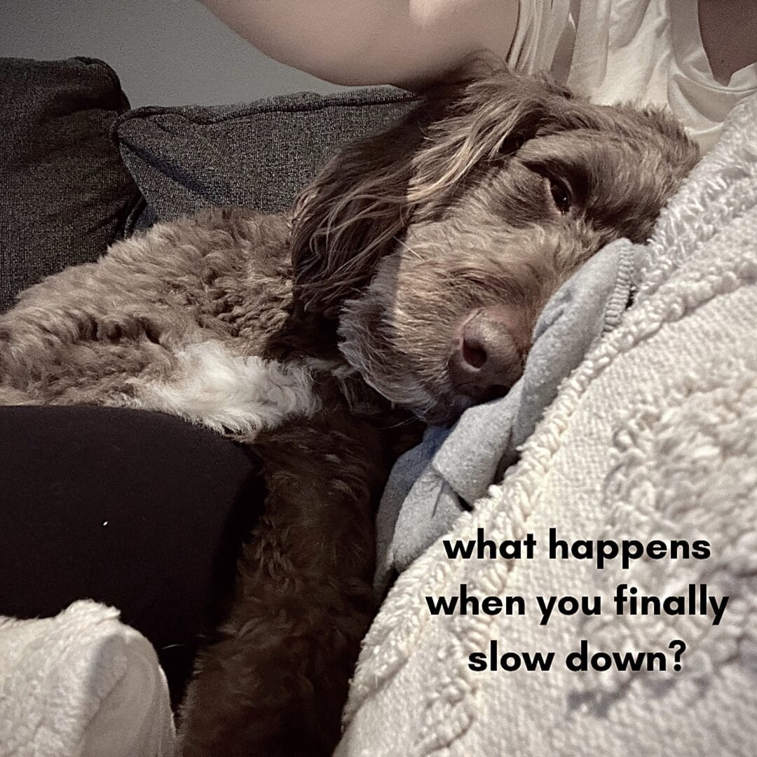 What Happens When You Slow Down?