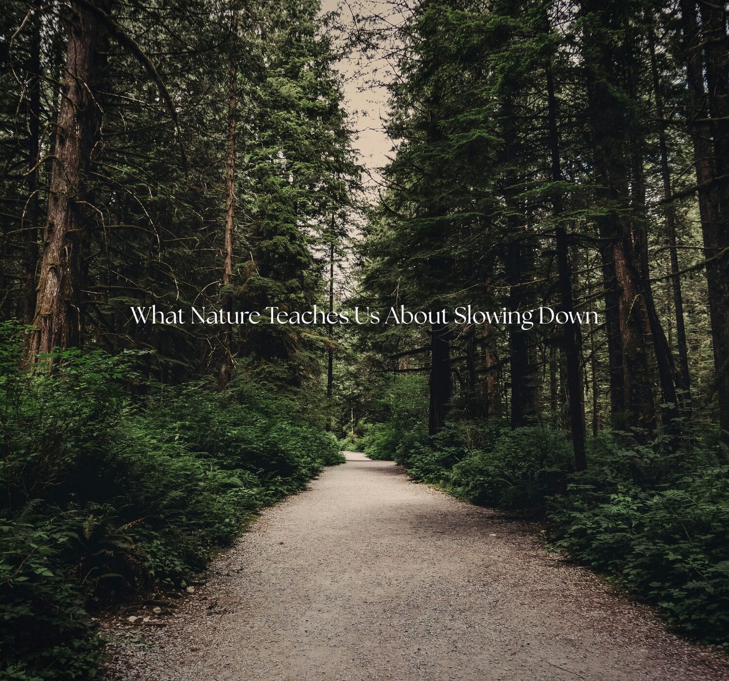 6 Nature-Inspired Slow Living Lessons