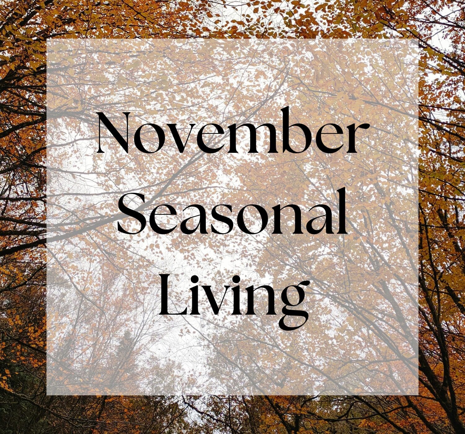 November Seasonal Living List
