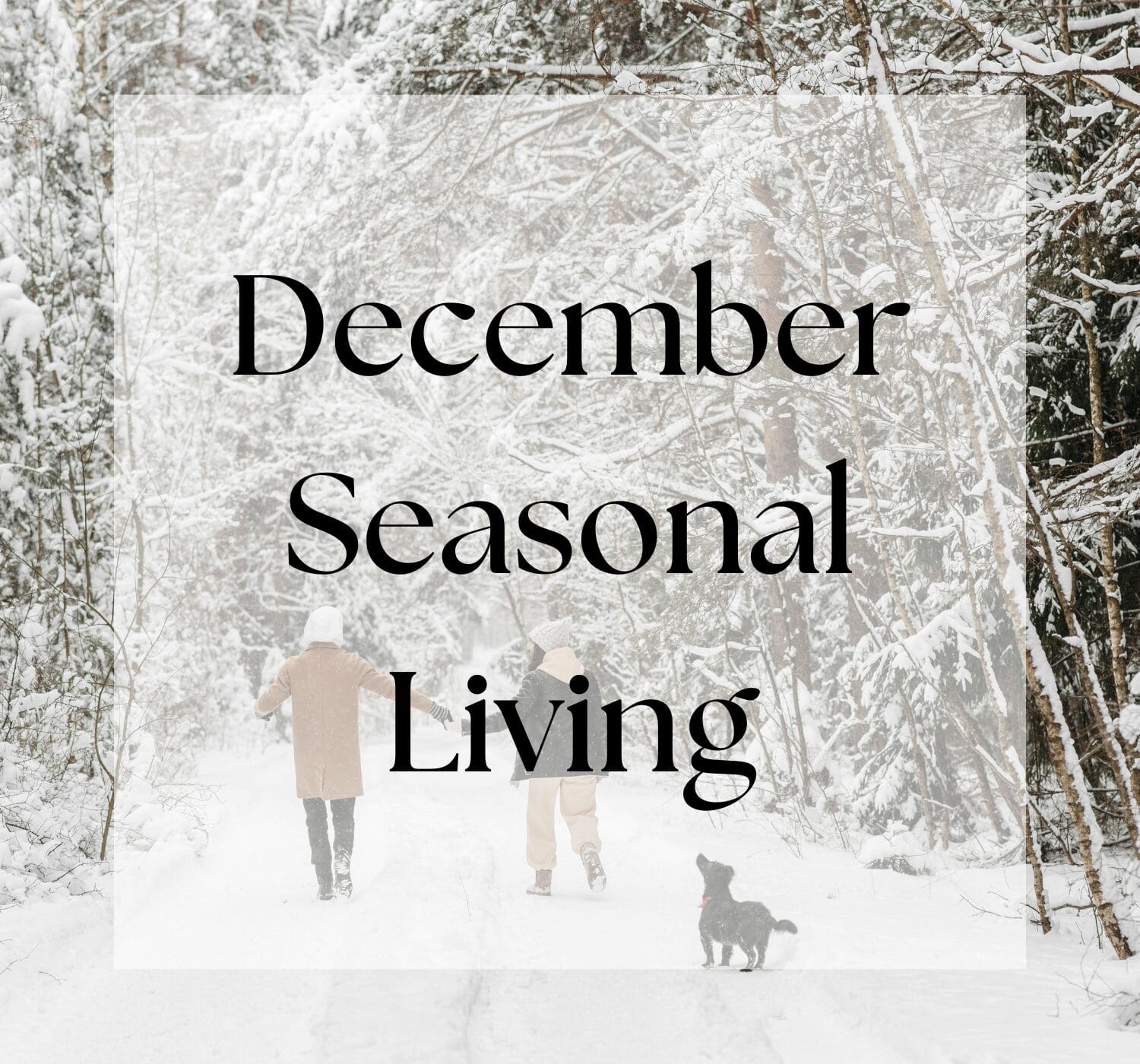 December Seasonal Living List