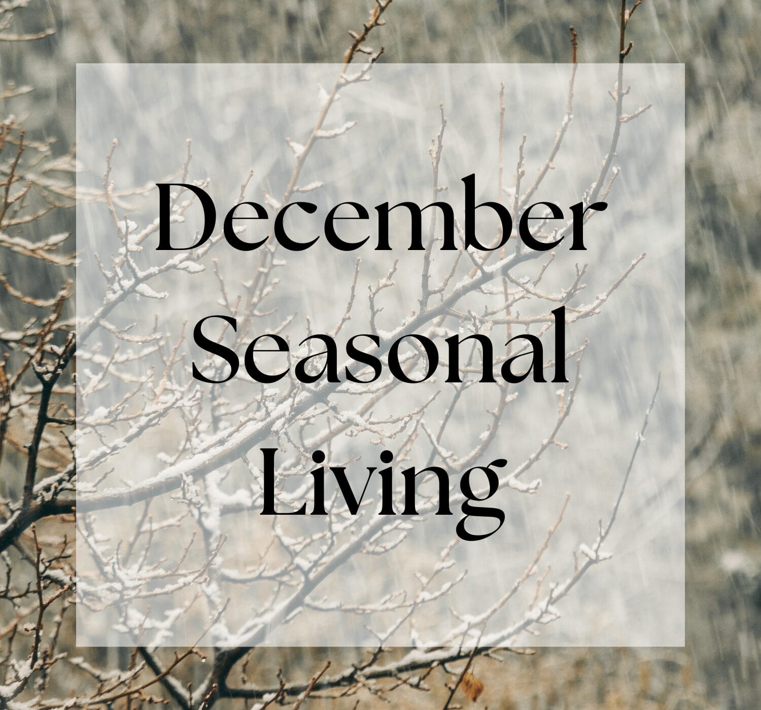 December Seasonal Living List