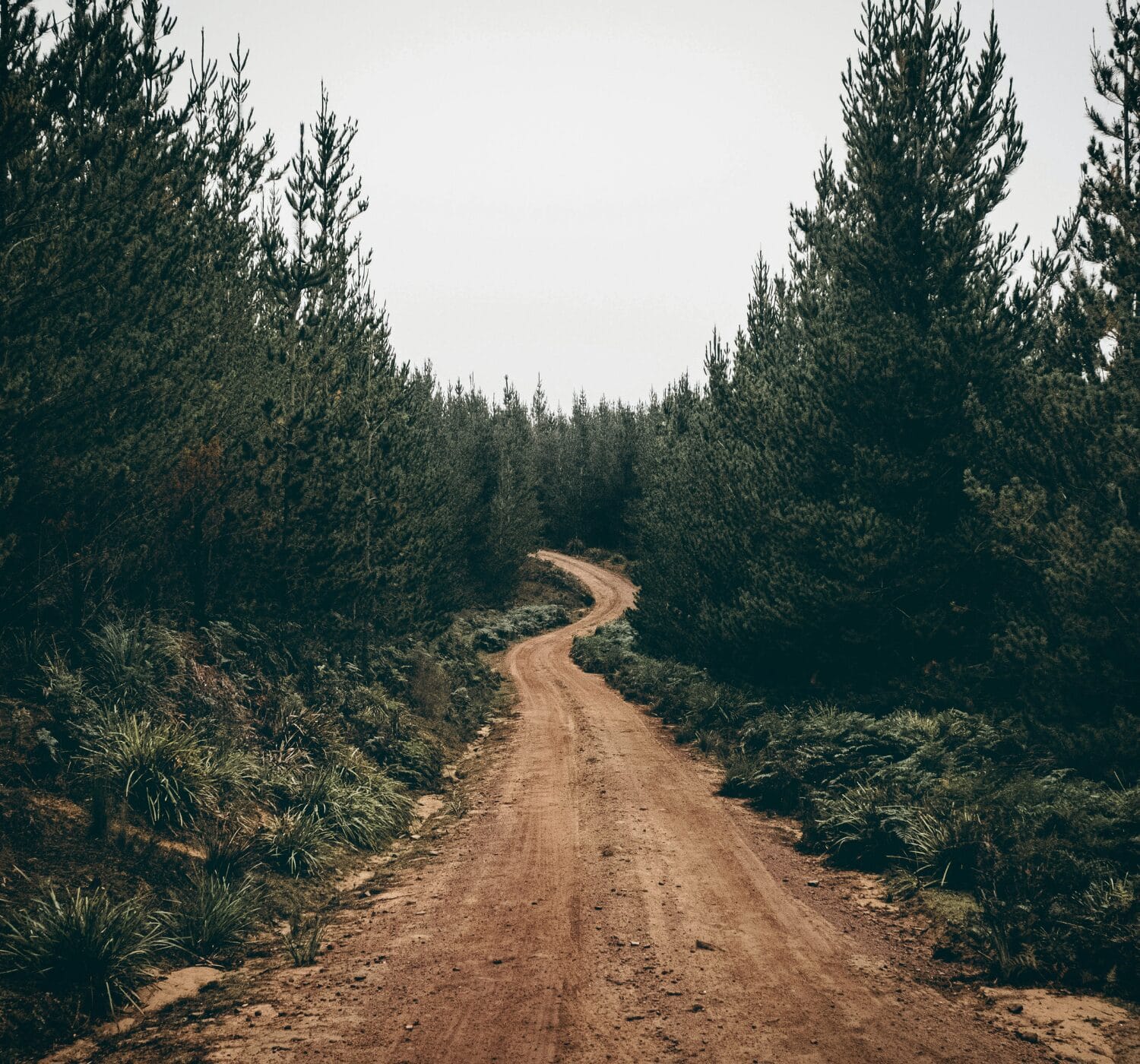 anxious winding road -Why Slow Living Makes You Anxious — And How to Make It Peaceful Again