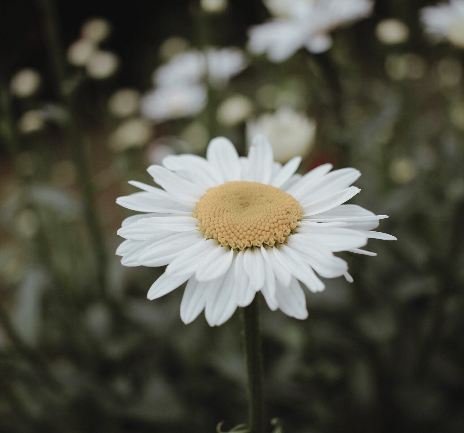 10 Signs You’re Ready to Slow Down