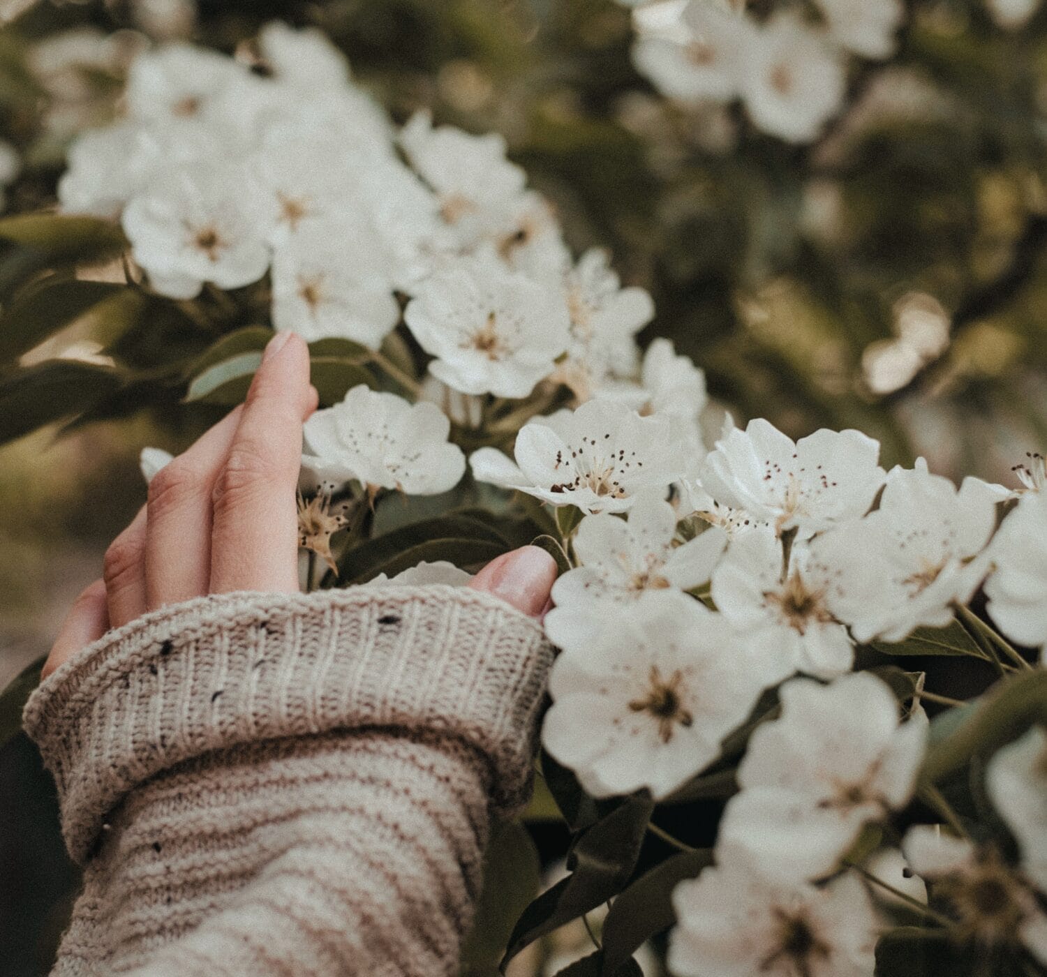 43 Self-Awareness Affirmations for Reflection & Emotional Clarity