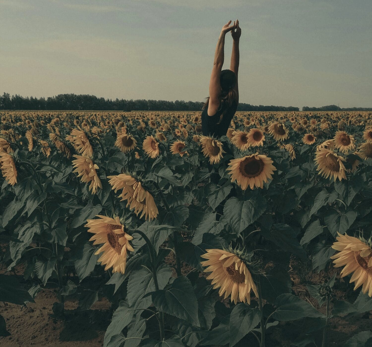 46 Affirmations for Daily Pure Awesomeness