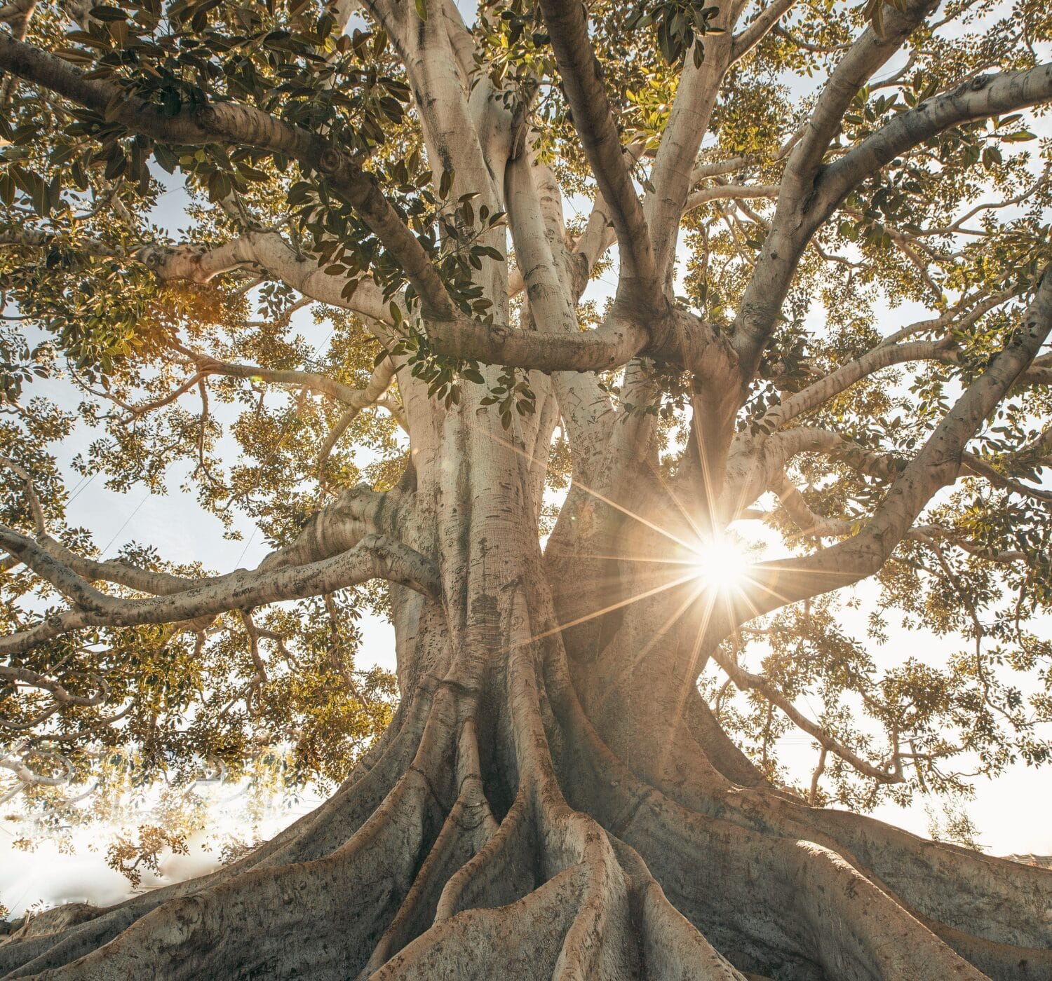 90 Inspiring Growth Quotes for Life, Change, and Success