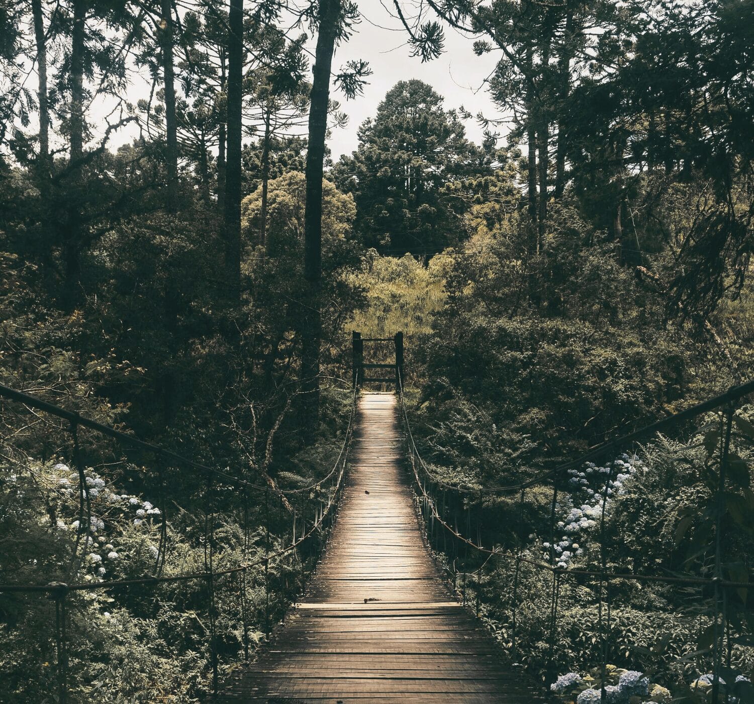 Are You Avoiding Your Emotions? 11 Journal Prompts for the Emotionally Avoidant Person