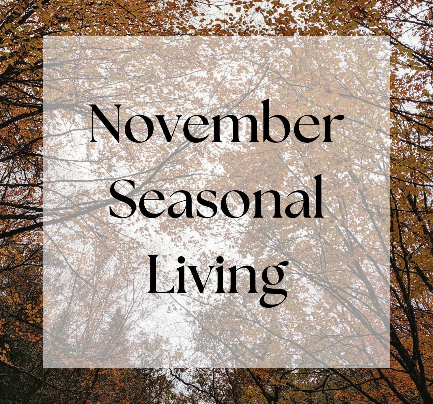 November Seasonal Living List