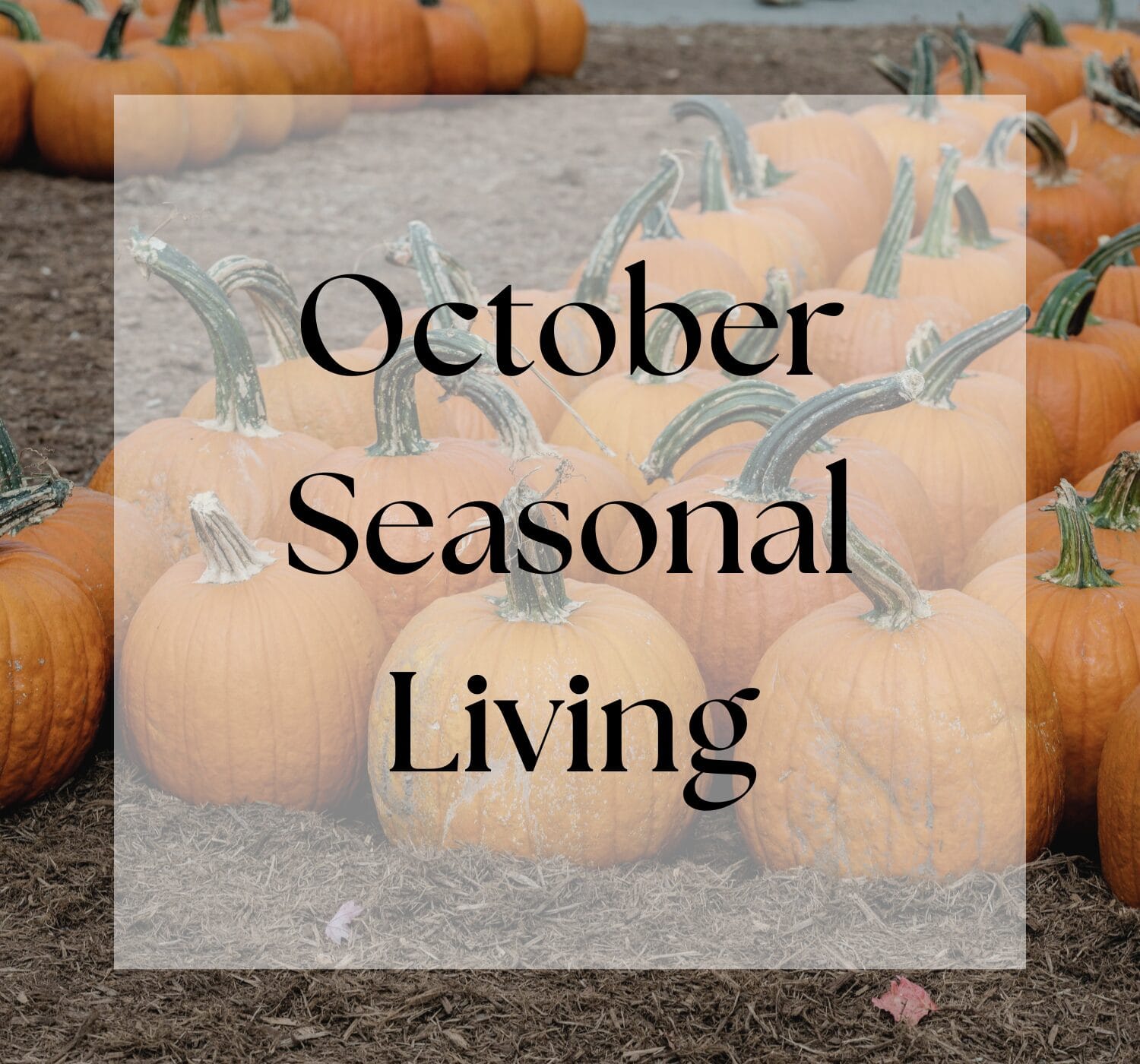 October Seasonal Living List