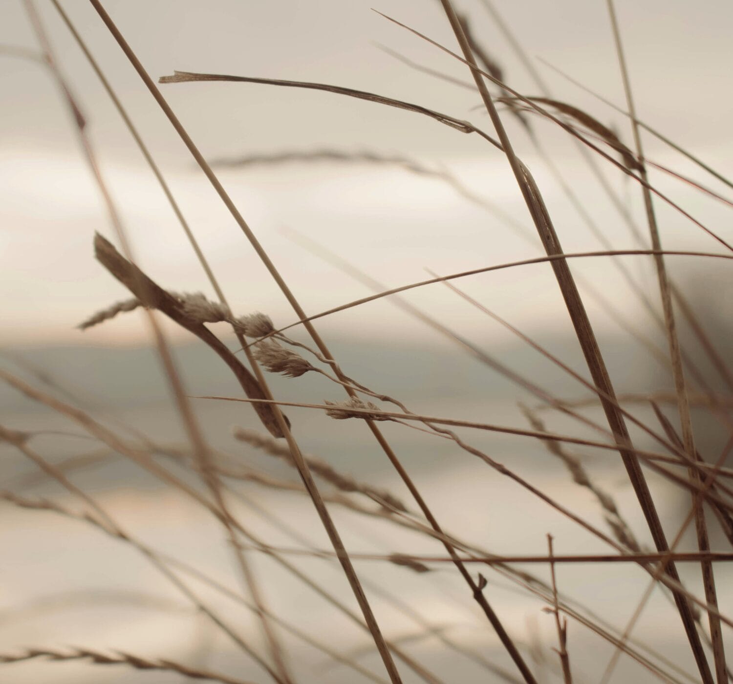 What Is Mindfulness? And How to Practice It Every Day