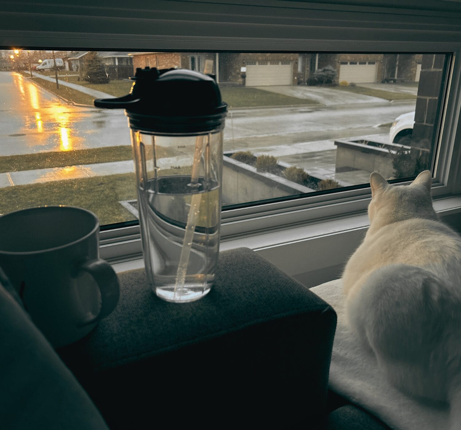 Why Beauty Matters in Everyday Life