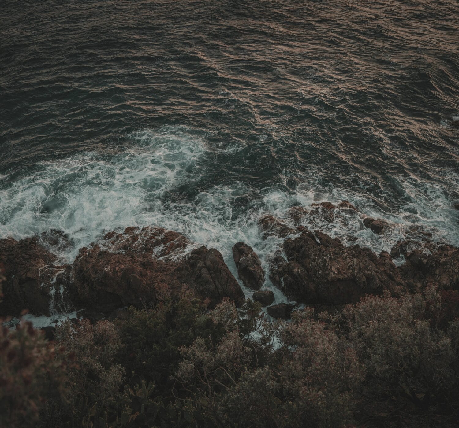 Journal Entry: Why Is It So Hard to Be Kind to Ourselves?