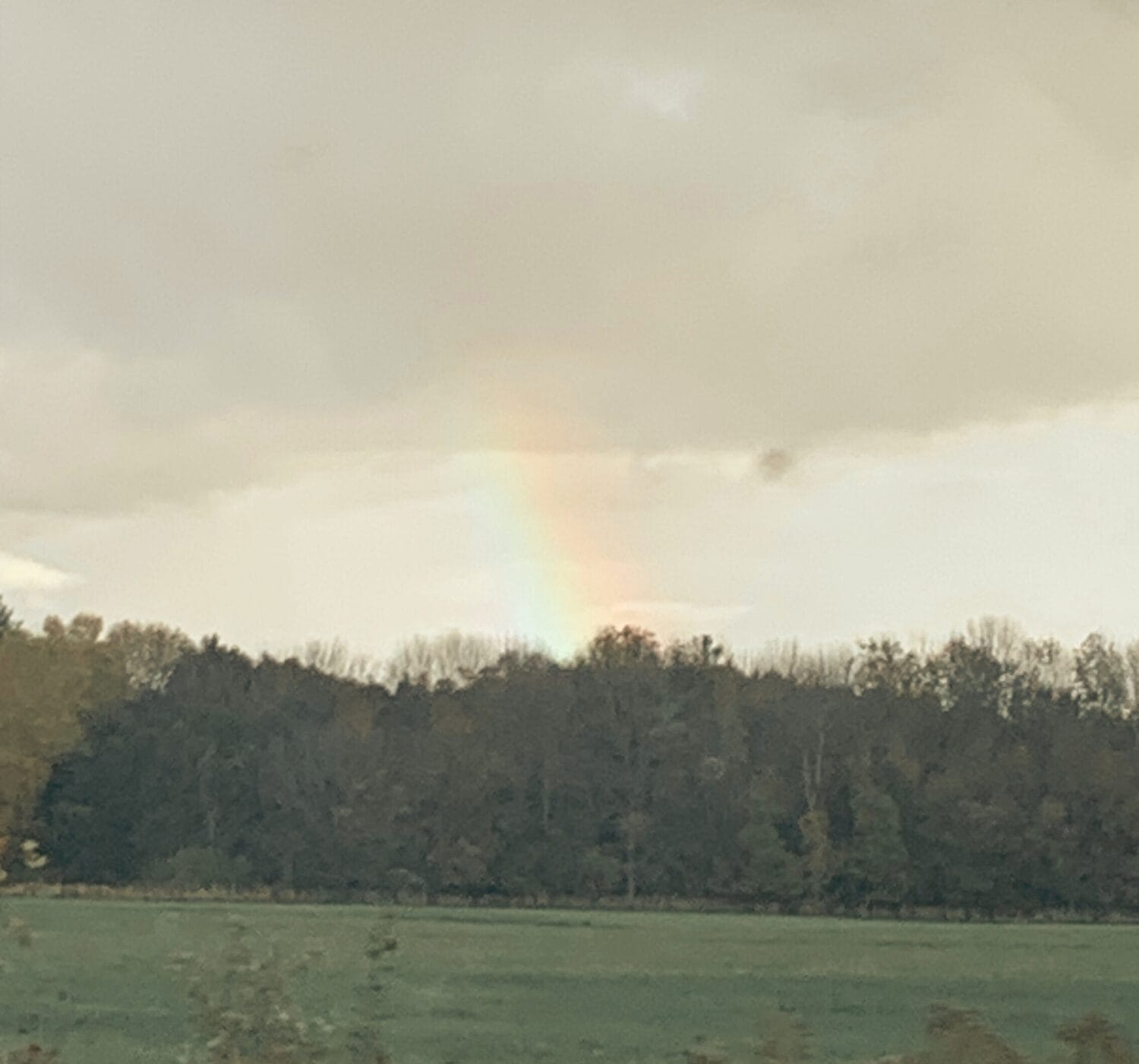 Living with Chronic Pain: My Story, Struggles, and How I Cope