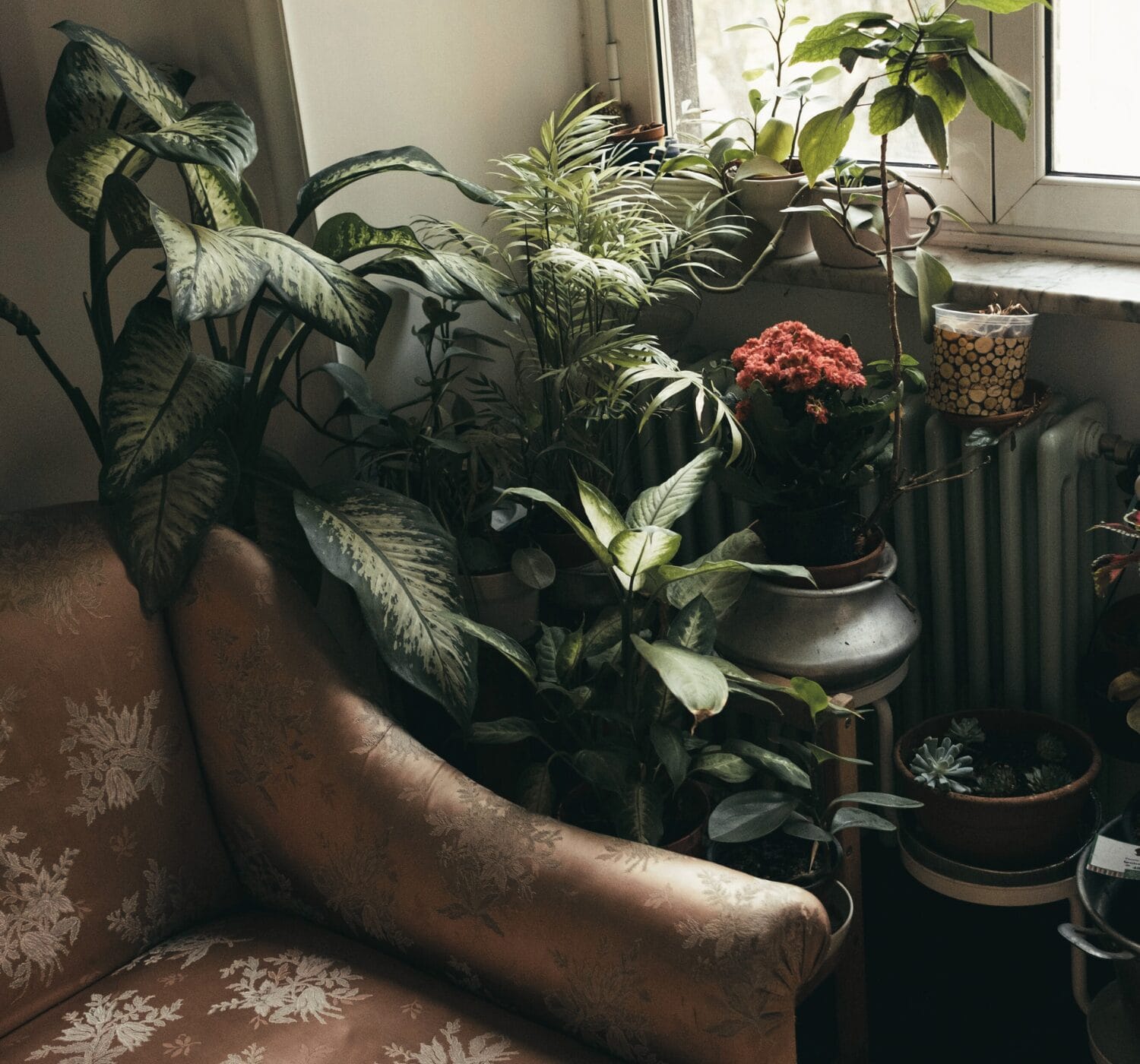 The Ultimate Intentional Living Checklist