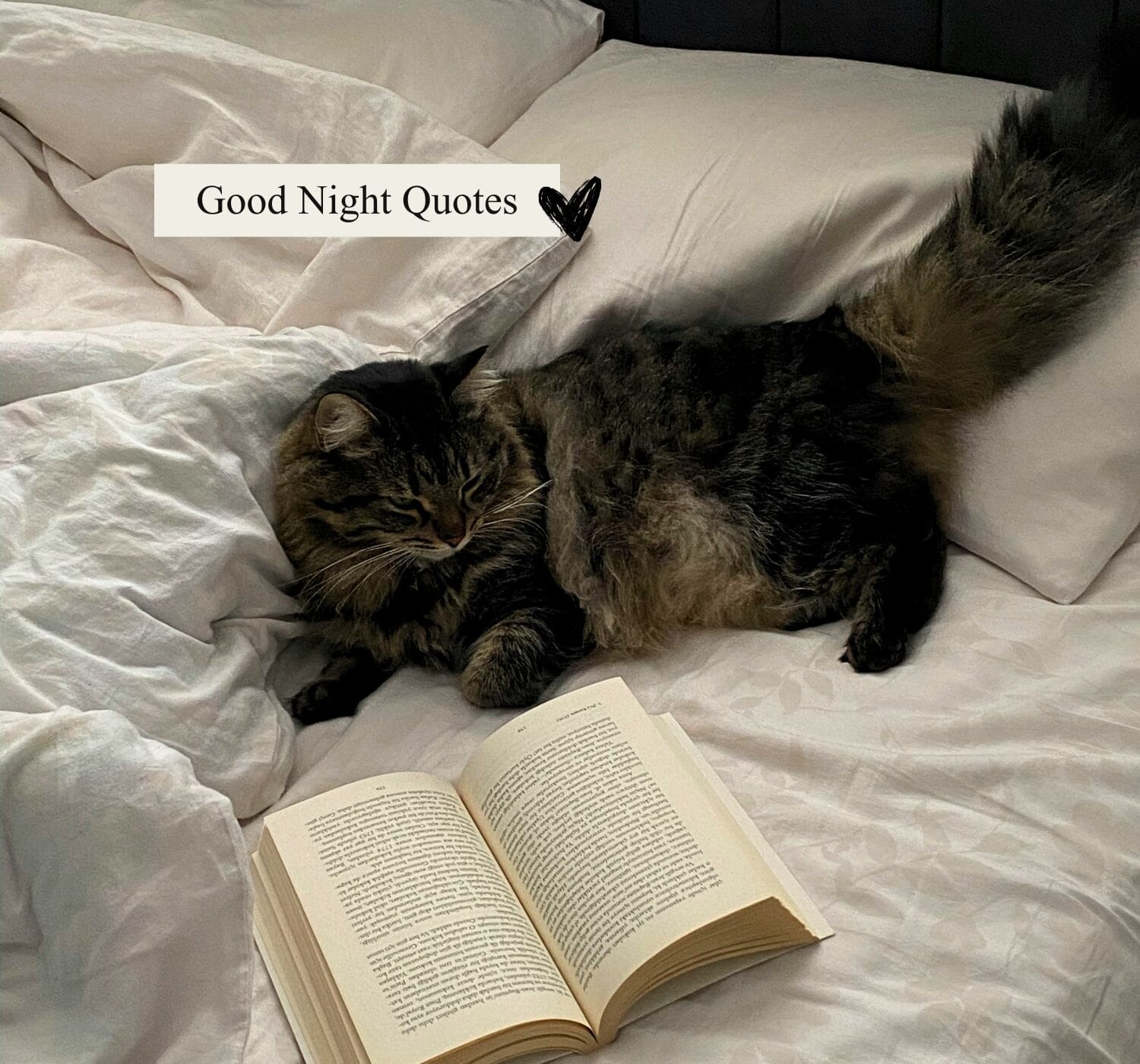 50 Good Night Quotes to Help You Wind Down and Sleep Better