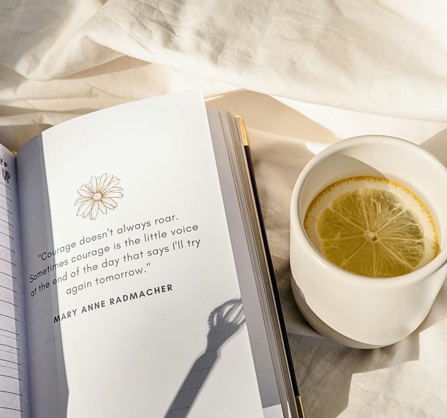 80 Never Give Up Quotes for Women Who Refuse to Quit