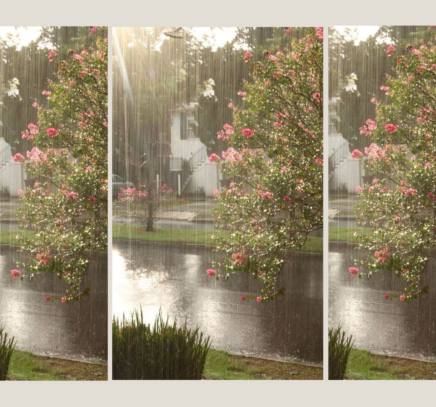 Why I Secretly Love Rainy Days