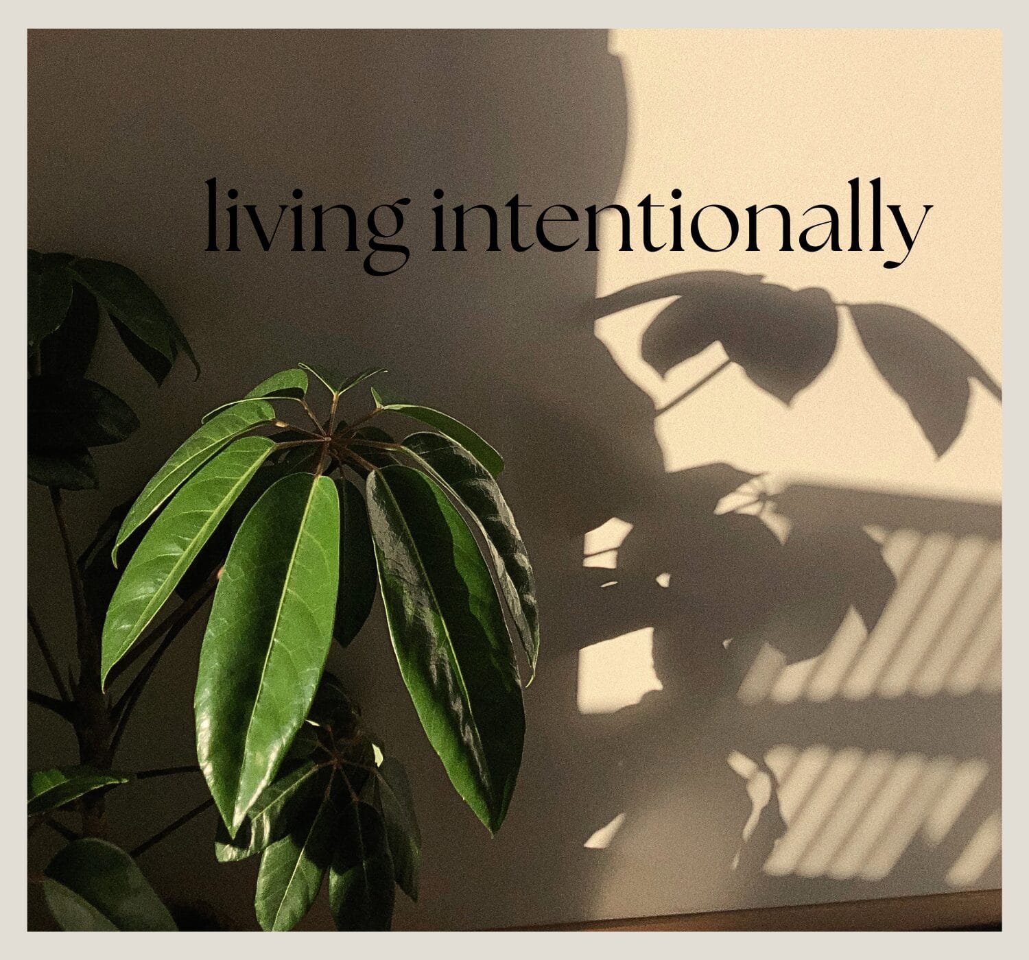 What Is Intentional Living? 5 Simple Ways to Create a More Meaningful Life