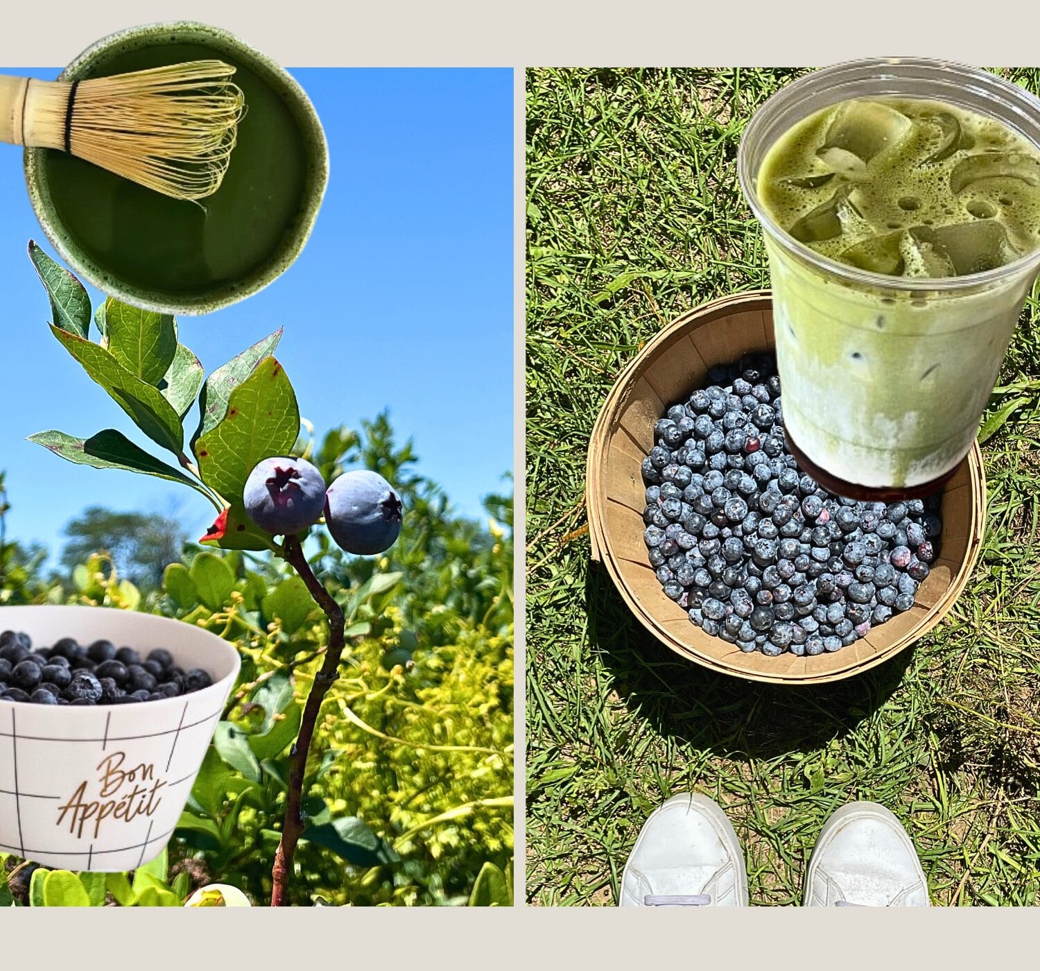 Blueberry Matcha Cream Drink (Easy Matcha Latte Recipe)