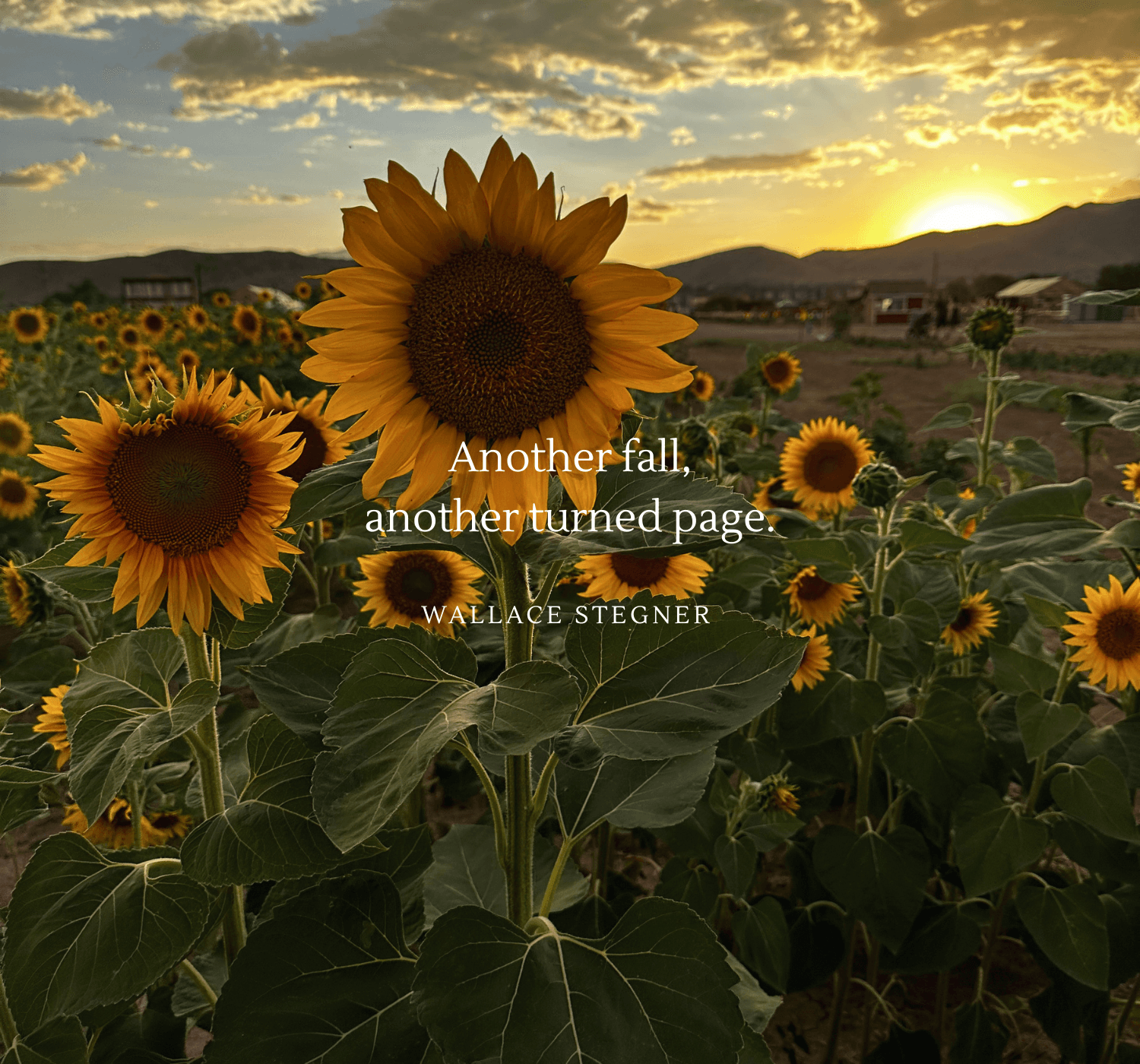 September Quotes to Welcome the New Season