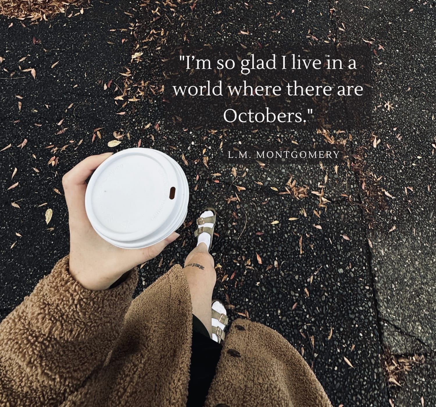 15 Cozy October Quotes to Embrace Fall
