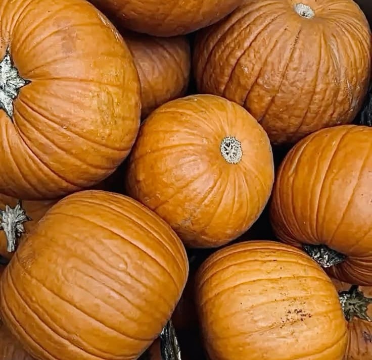 What to Eat in October for Peak Fall Flavour